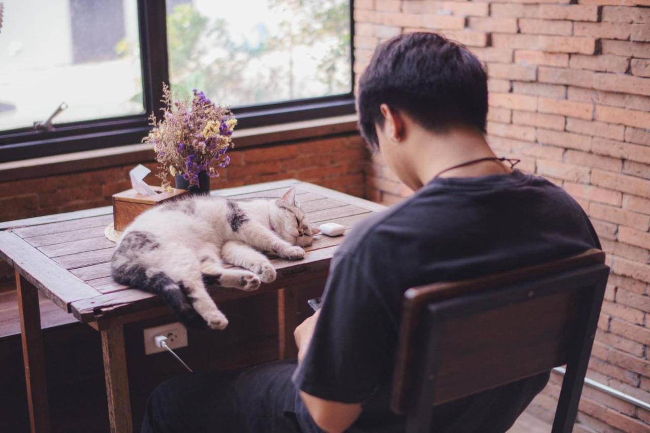 Suneta Hostel Chiangmai Chiang Mai Eksteriør bilde